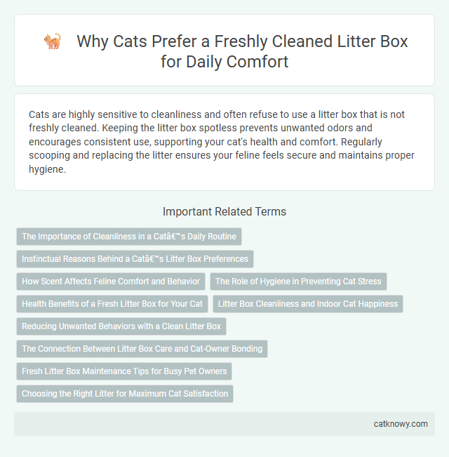 Why Cats Prefer a Freshly Cleaned Litter Box for Daily Comfort