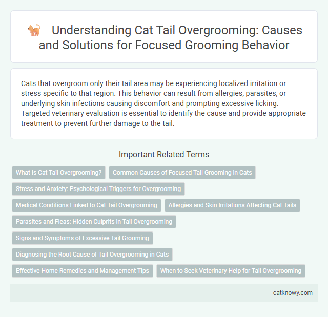 Understanding Cat Tail Overgrooming: Causes and Solutions for Focused Grooming Behavior