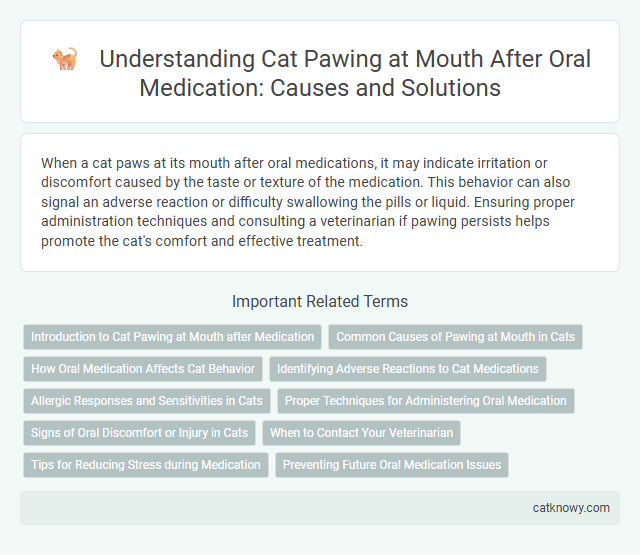 Understanding Cat Pawing at Mouth After Oral Medication: Causes and Solutions
