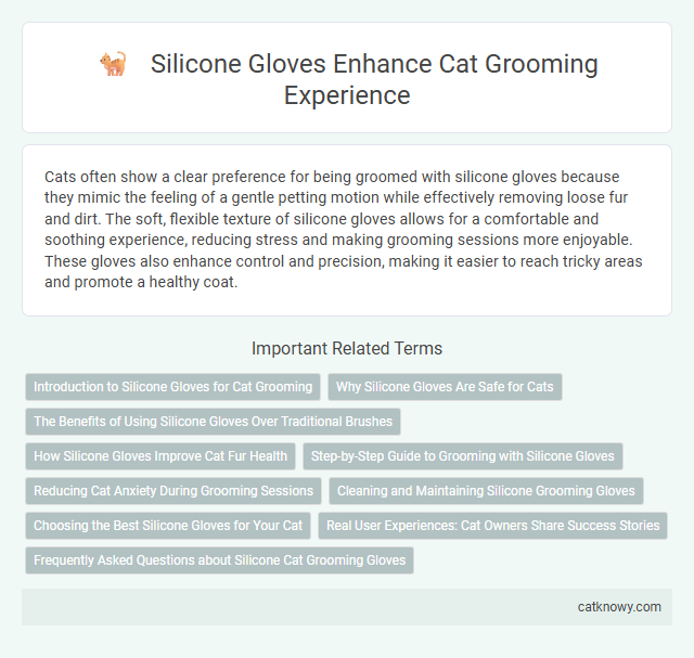 Silicone Gloves Enhance Cat Grooming Experience