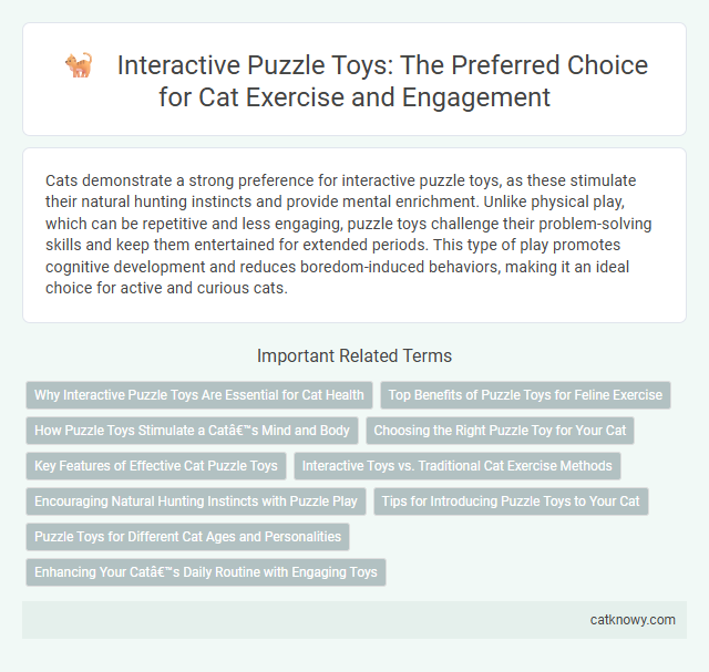 Interactive Puzzle Toys: The Preferred Choice for Cat Exercise and Engagement