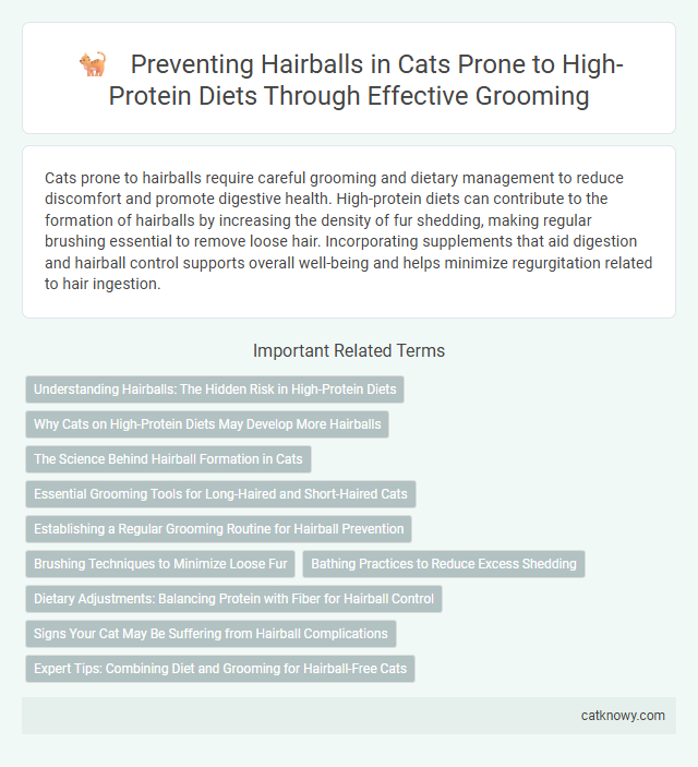 Preventing Hairballs in Cats Prone to High-Protein Diets Through Effective Grooming