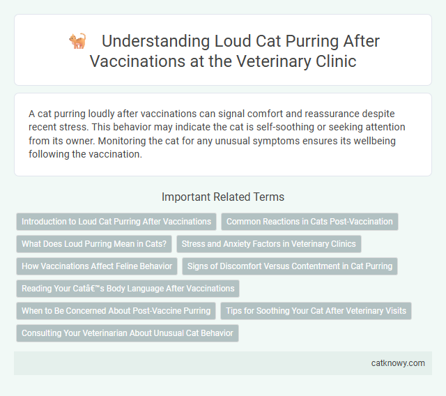 Understanding Loud Cat Purring After Vaccinations at the Veterinary Clinic