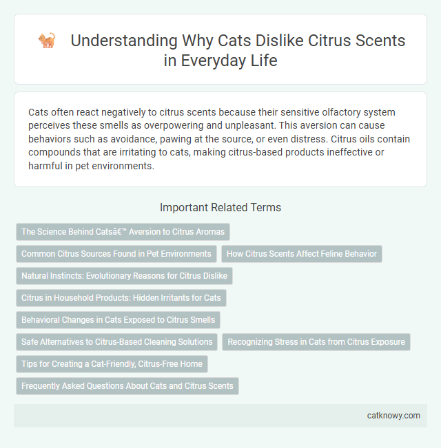 Understanding Why Cats Dislike Citrus Scents in Everyday Life