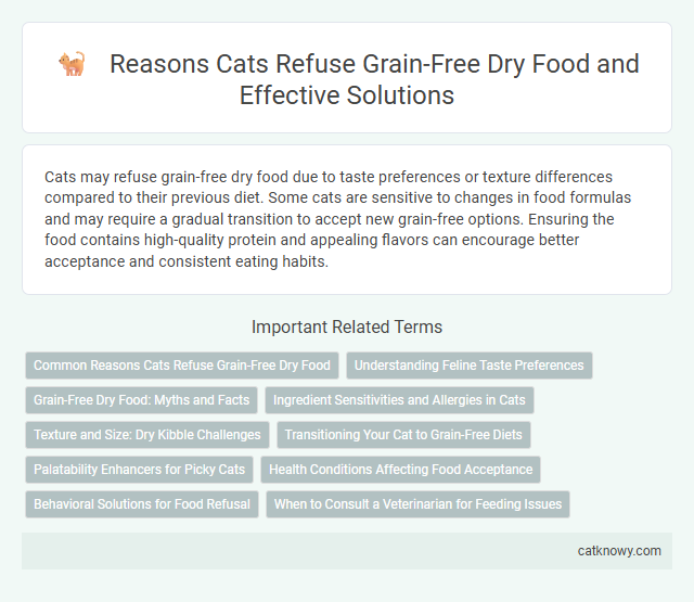 Reasons Cats Refuse Grain-Free Dry Food and Effective Solutions