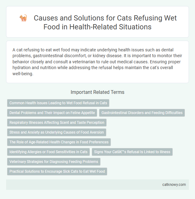 Causes and Solutions for Cats Refusing Wet Food in Health-Related Situations