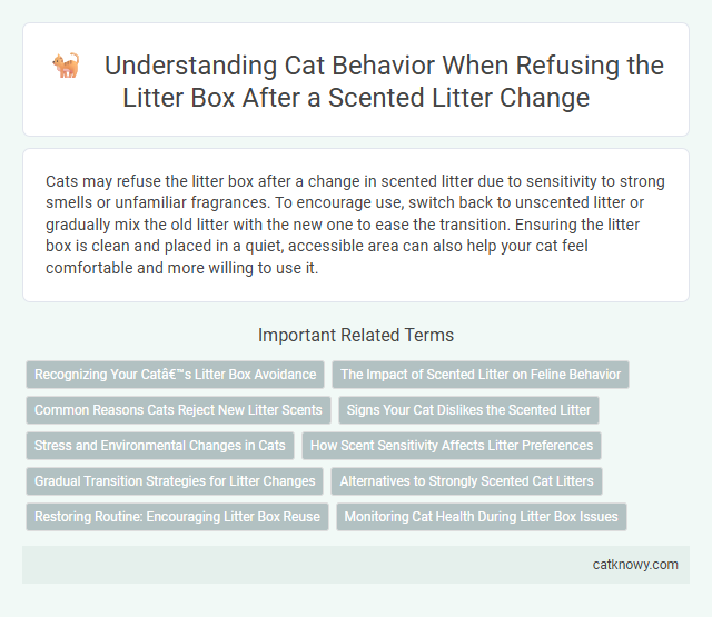 Understanding Cat Behavior When Refusing the Litter Box After a Scented Litter Change