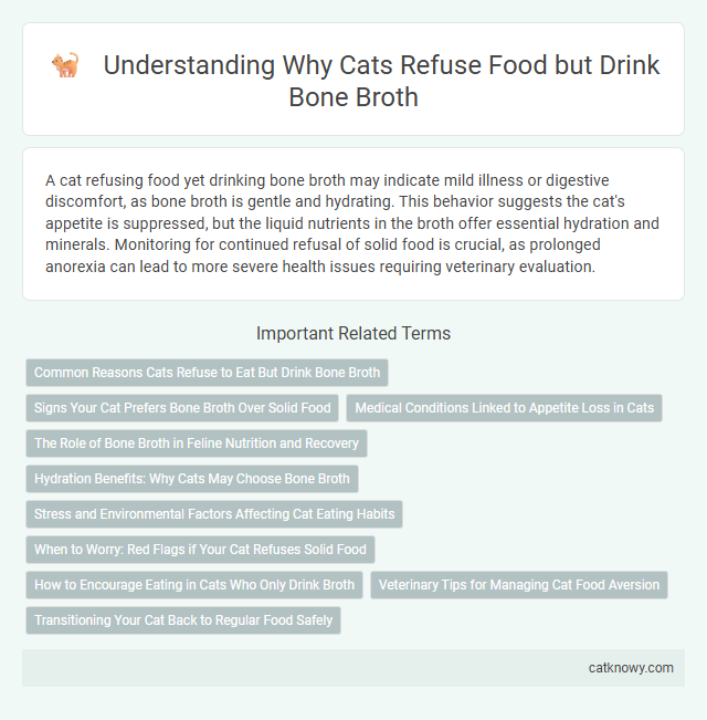 Understanding Why Cats Refuse Food but Drink Bone Broth