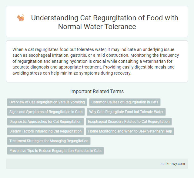 Understanding Cat Regurgitation of Food with Normal Water Tolerance