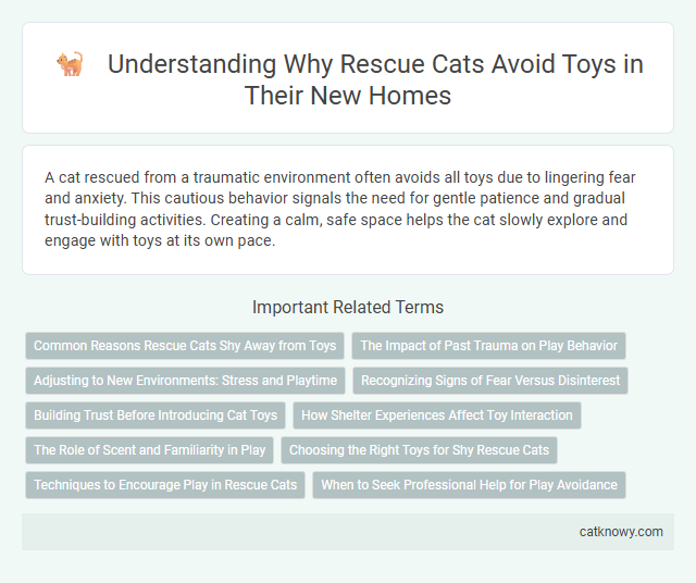 Understanding Why Rescue Cats Avoid Toys in Their New Homes