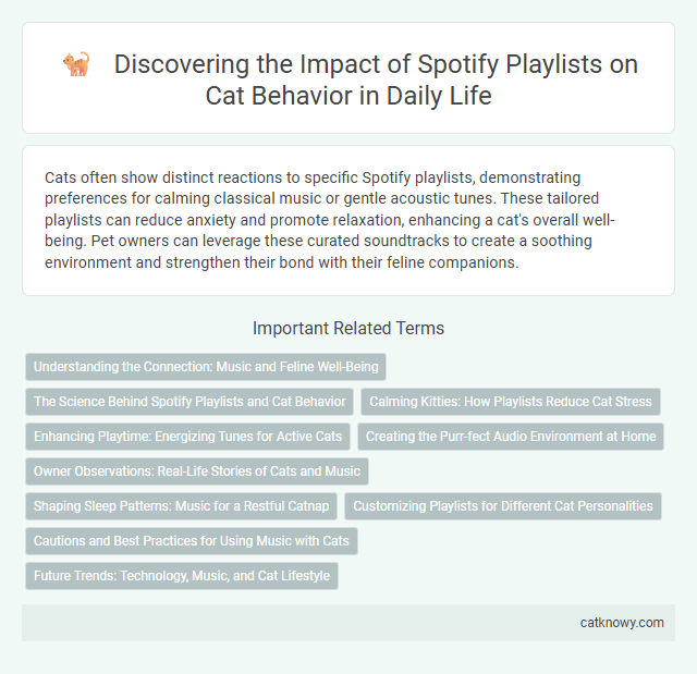 Discovering the Impact of Spotify Playlists on Cat Behavior in Daily Life