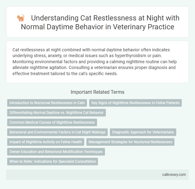 Understanding Cat Restlessness at Night with Normal Daytime Behavior in Veterinary Practice