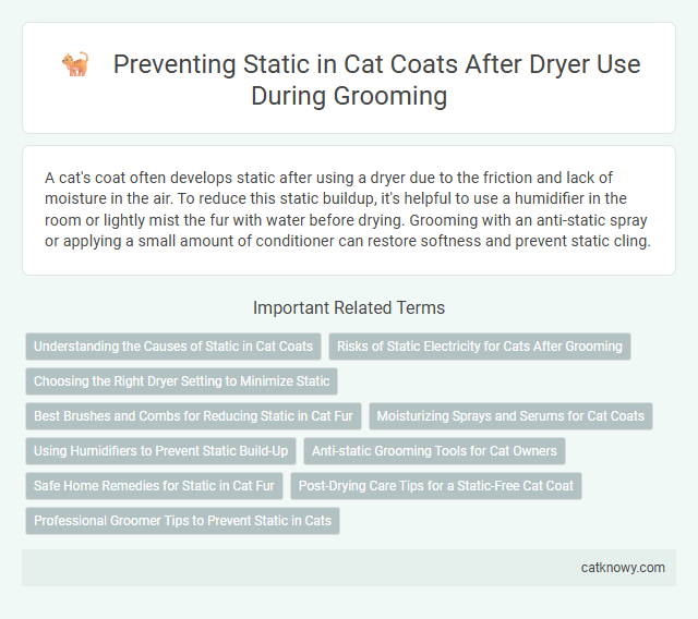 Preventing Static in Cat Coats After Dryer Use During Grooming