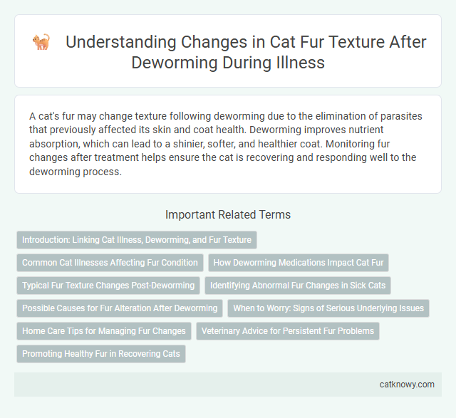 Understanding Changes in Cat Fur Texture After Deworming During Illness