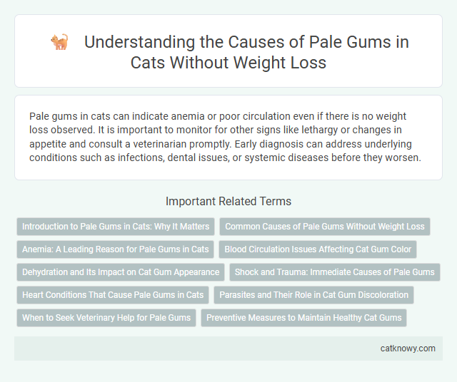Understanding the Causes of Pale Gums in Cats Without Weight Loss