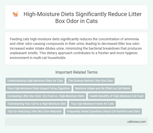 High-Moisture Diets Significantly Reduce Litter Box Odor in Cats