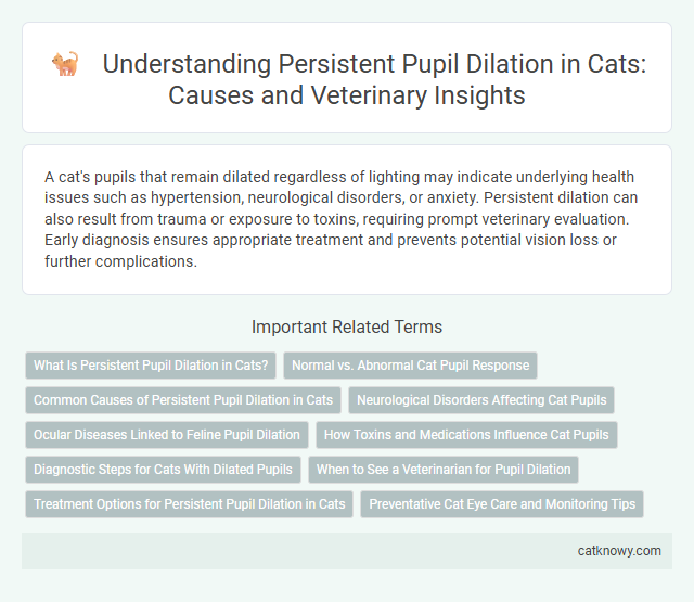 Understanding Persistent Pupil Dilation in Cats: Causes and Veterinary Insights