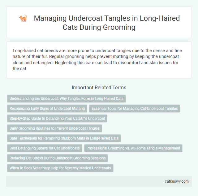 Managing Undercoat Tangles in Long-Haired Cats During Grooming