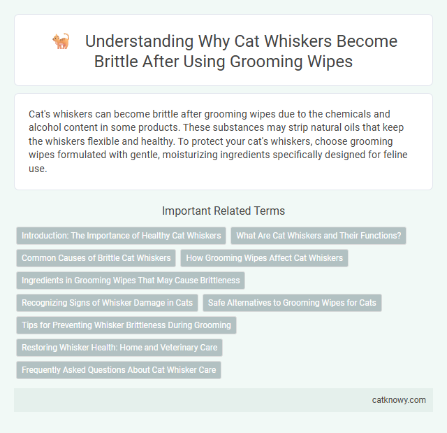 Understanding Why Cat Whiskers Become Brittle After Using Grooming Wipes