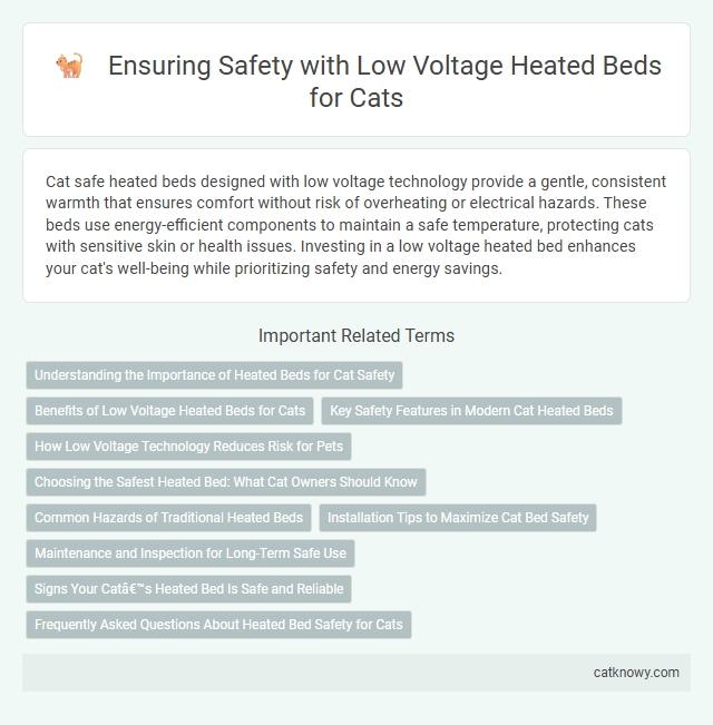 Ensuring Safety with Low Voltage Heated Beds for Cats