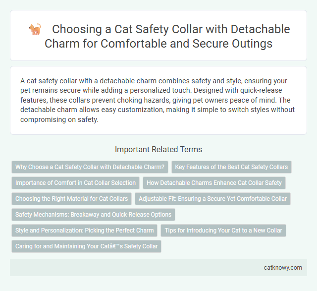 Choosing a Cat Safety Collar with Detachable Charm for Comfortable and Secure Outings