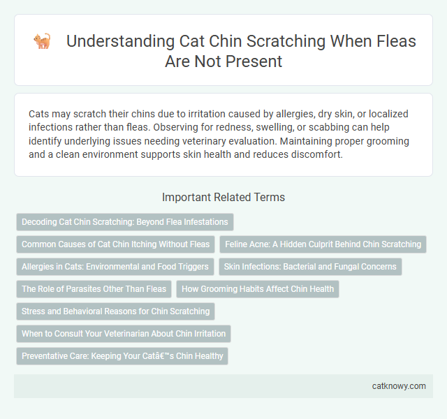 Understanding Cat Chin Scratching When Fleas Are Not Present