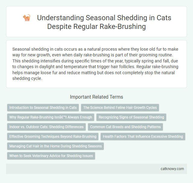 Understanding Seasonal Shedding in Cats Despite Regular Rake-Brushing