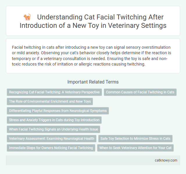 Understanding Cat Facial Twitching After Introduction of a New Toy in Veterinary Settings