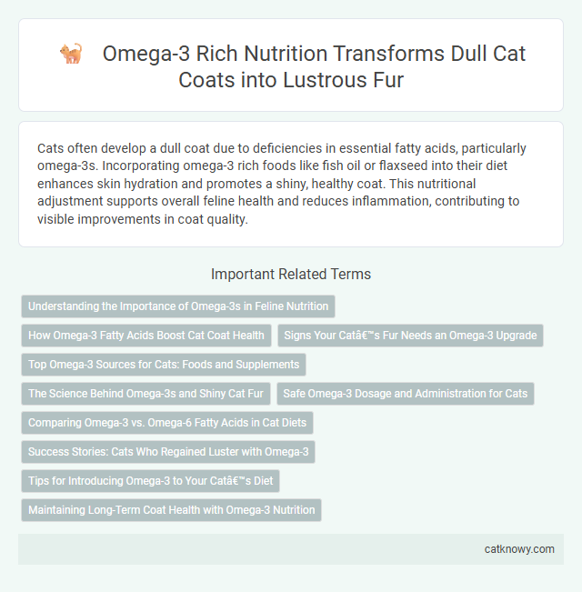 Omega-3 Rich Nutrition Transforms Dull Cat Coats into Lustrous Fur