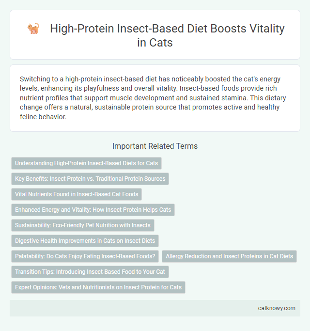 High-Protein Insect-Based Diet Boosts Vitality in Cats