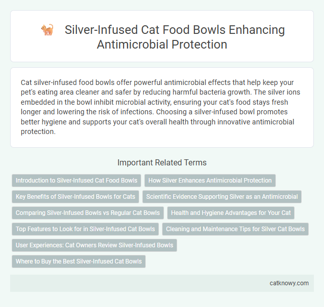 Silver-Infused Cat Food Bowls Enhancing Antimicrobial Protection