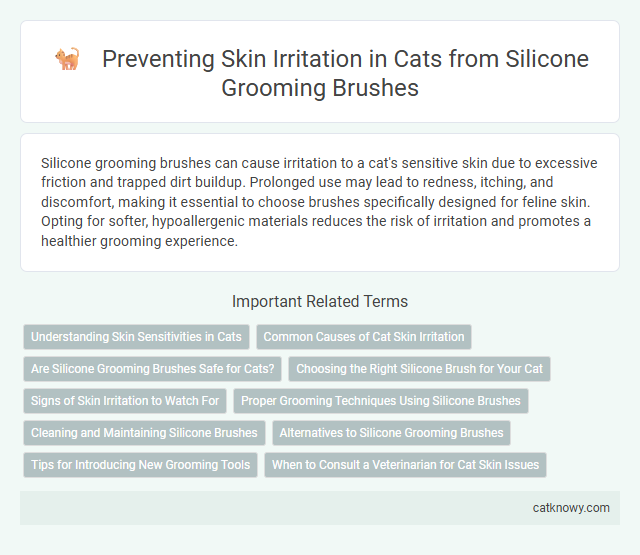Preventing Skin Irritation in Cats from Silicone Grooming Brushes