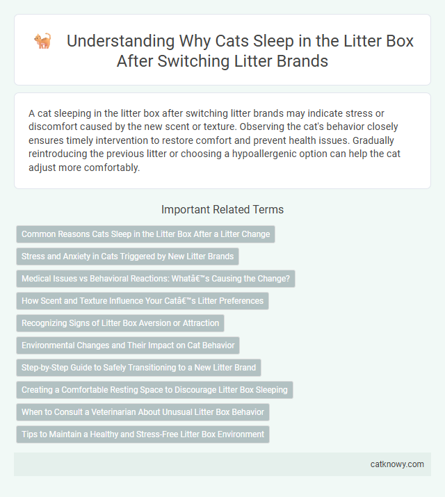 Understanding Why Cats Sleep in the Litter Box After Switching Litter Brands