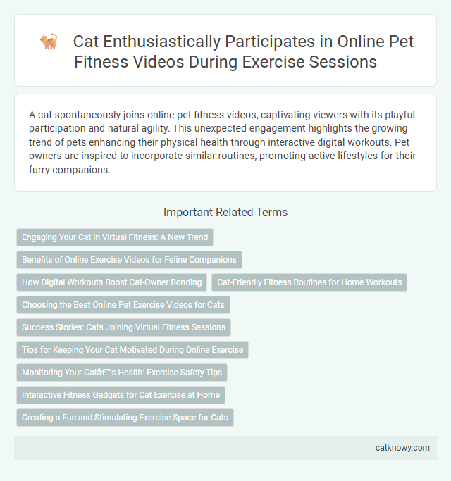 Cat Enthusiastically Participates in Online Pet Fitness Videos During Exercise Sessions