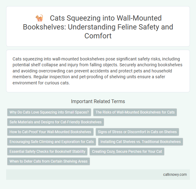 Cats Squeezing into Wall-Mounted Bookshelves: Understanding Feline Safety and Comfort
