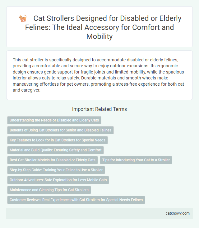 Cat Strollers Designed for Disabled or Elderly Felines: The Ideal Accessory for Comfort and Mobility