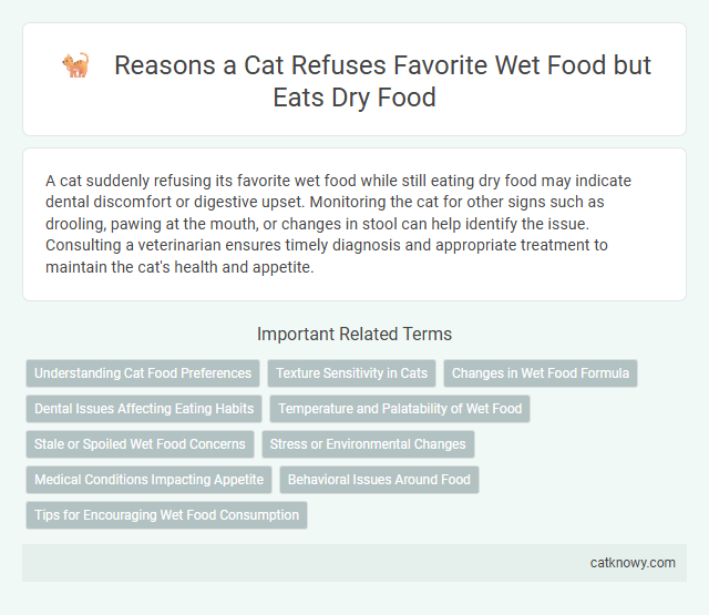 Reasons a Cat Refuses Favorite Wet Food but Eats Dry Food