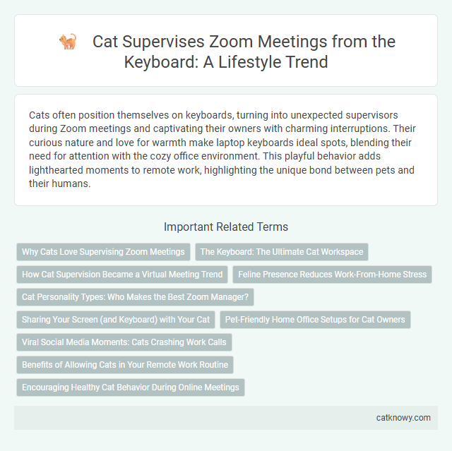 Cat Supervises Zoom Meetings from the Keyboard: A Lifestyle Trend