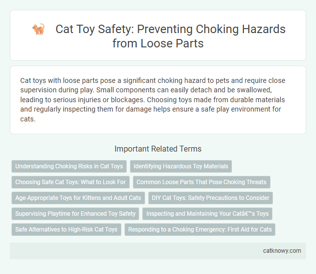 Cat Toy Safety: Preventing Choking Hazards from Loose Parts