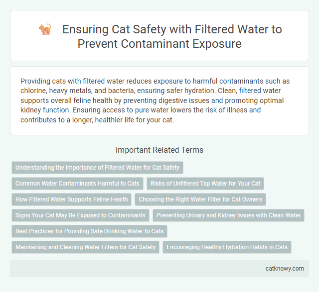 Ensuring Cat Safety with Filtered Water to Prevent Contaminant Exposure