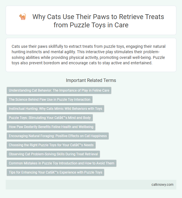 Why Cats Use Their Paws to Retrieve Treats from Puzzle Toys in Care