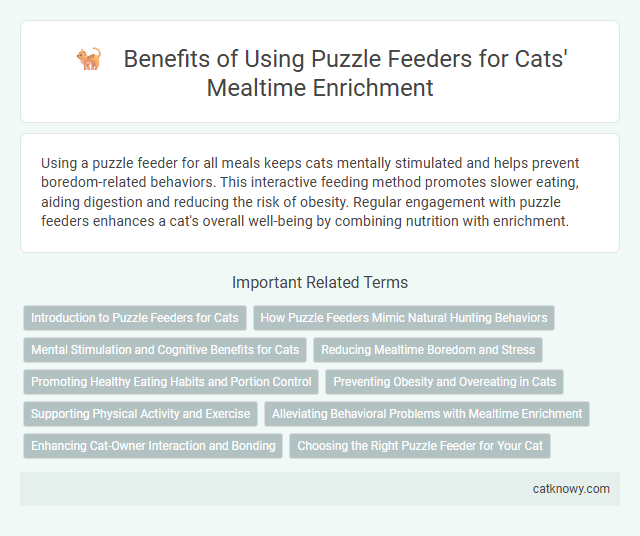 Benefits of Using Puzzle Feeders for Cats' Mealtime Enrichment