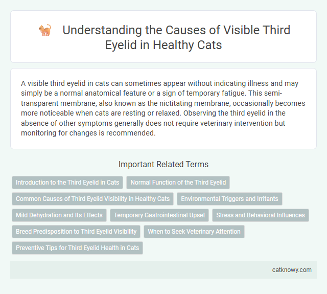Understanding the Causes of Visible Third Eyelid in Healthy Cats