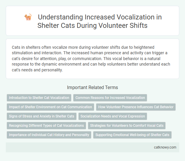 Understanding Increased Vocalization in Shelter Cats During Volunteer Shifts