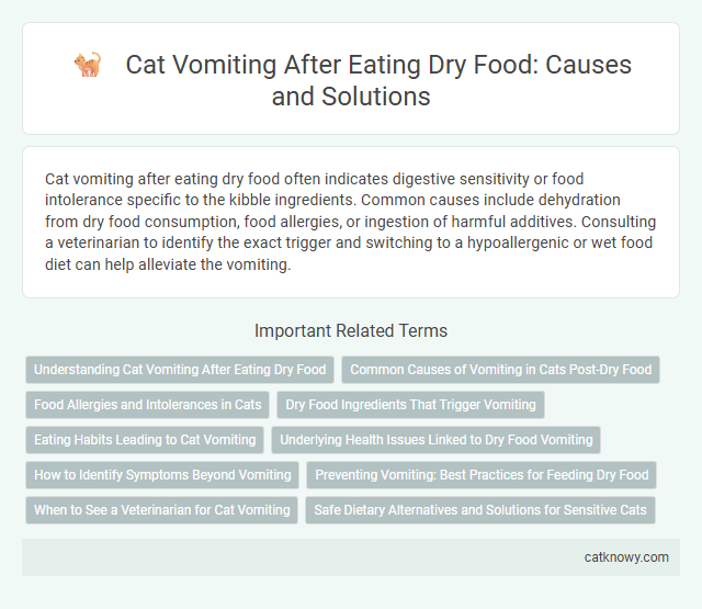 Cat Vomiting After Eating Dry Food: Causes and Solutions