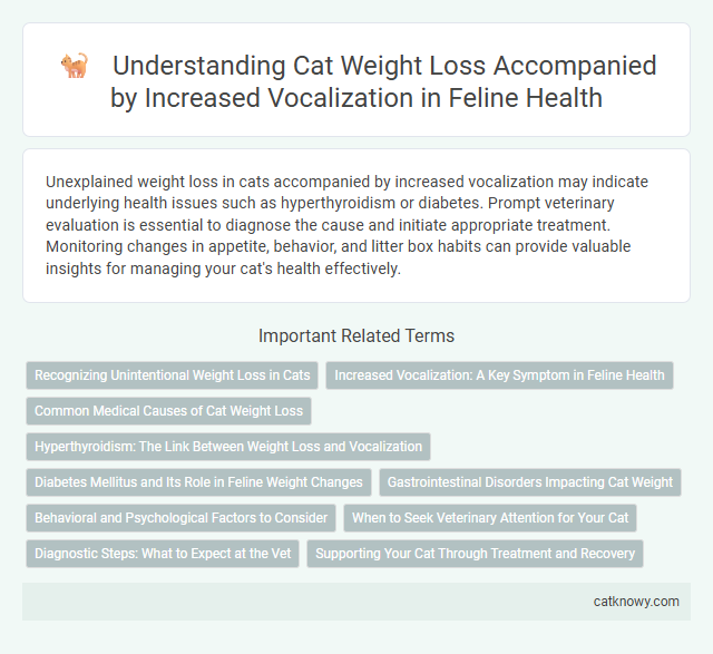 Understanding Cat Weight Loss Accompanied by Increased Vocalization in Feline Health