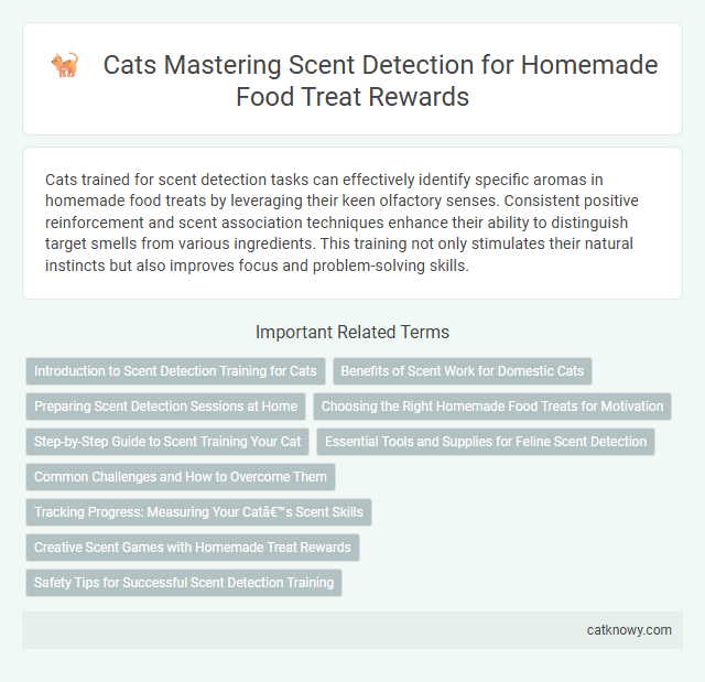 Cats Mastering Scent Detection for Homemade Food Treat Rewards