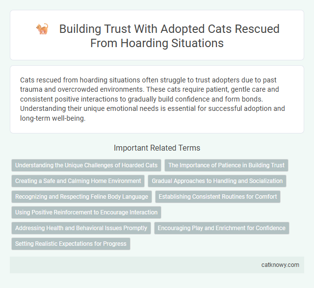 Building Trust With Adopted Cats Rescued From Hoarding Situations