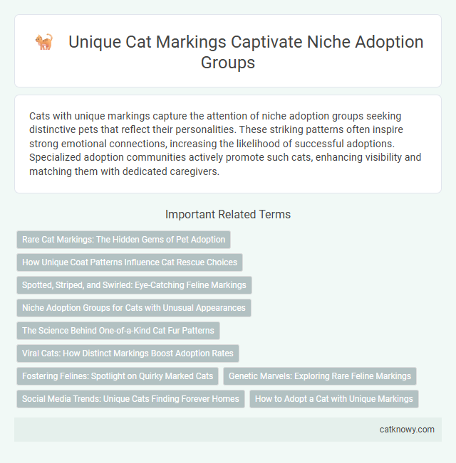 Unique Cat Markings Captivate Niche Adoption Groups