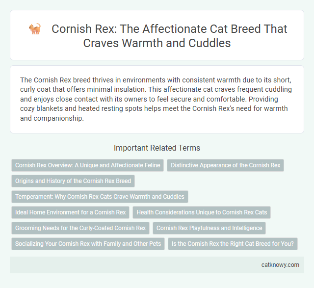 Cornish Rex: The Affectionate Cat Breed That Craves Warmth and Cuddles